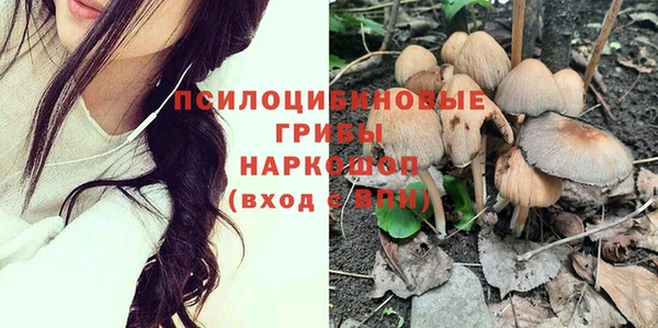 спиды Магадан