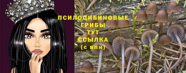 прущие крисы Мегион
