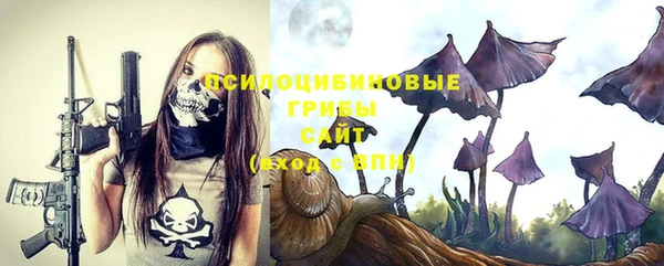 спиды Магадан