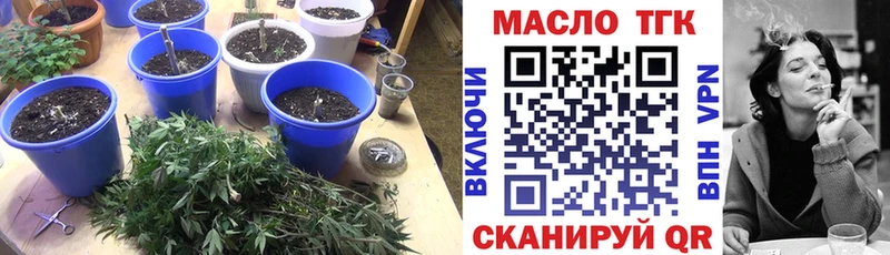 где найти наркотики  сайты даркнета телеграм  ТГК концентрат  Орлов 