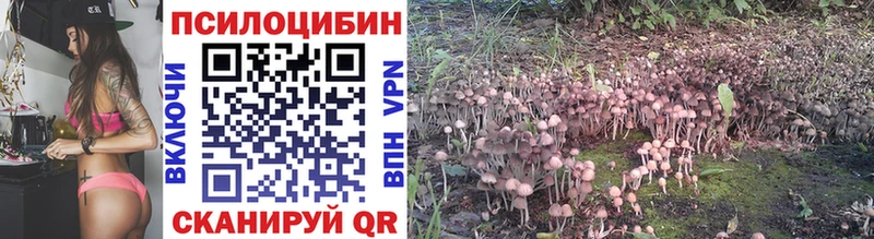 Псилоцибиновые грибы Cubensis Орлов