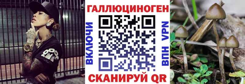 Псилоцибиновые грибы Psilocybe  Орлов 